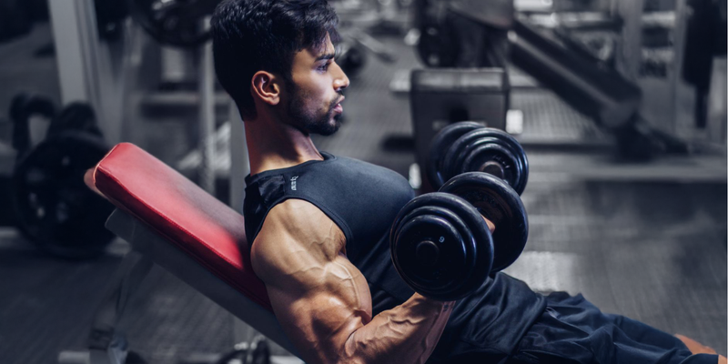 Training with Physique Collection